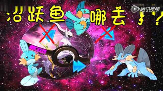 视频z小驴神奇宝贝梦的光点40第3期沼跃鱼神秘失踪