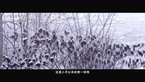 《暖冬》重庆暖冬计划微电影