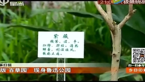 《今日印象》160420期新版百草园现身鲁迅公园