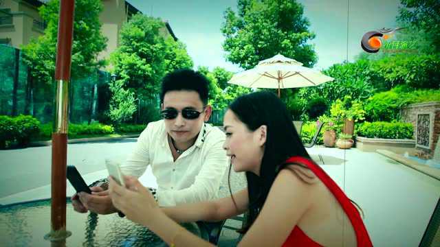 安东阳,樊桐舟 - 情为何物