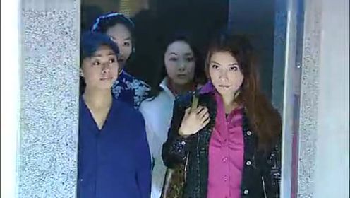 杨丽菁2005年电影霹雳蓝天使》
