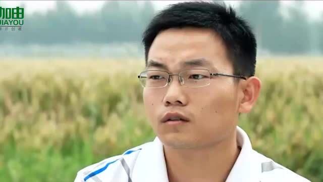 河南省首届大学生创新创业标兵——河南农业大学  王灵光