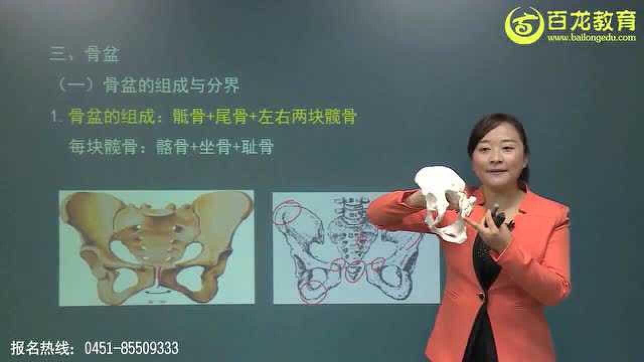 06妇产科高级职称-女性生殖系统解剖-外生殖器