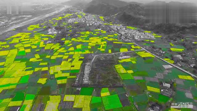 彭州小鱼洞油菜花_腾讯视频