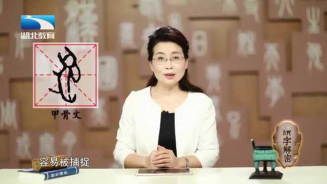 解密“兔”字由甲骨文演变的过程_腾讯视频