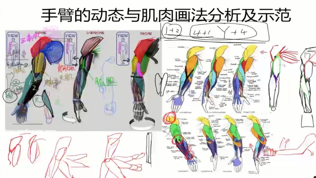 零基础动漫手绘教程|初学者动漫绘画教程腾讯视频}