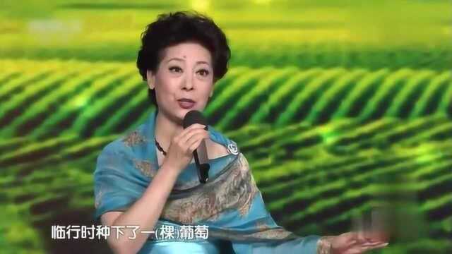 《吐鲁番的葡萄熟了》演唱:关牧村
