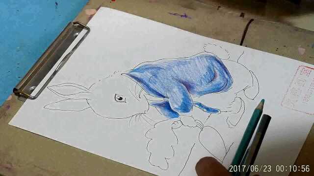 彩铅画彼得兔灵感画室课外作业