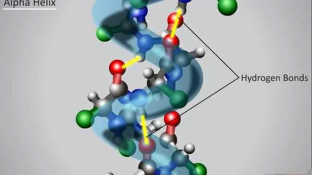 3d动画演示,蛋白质的四级结构