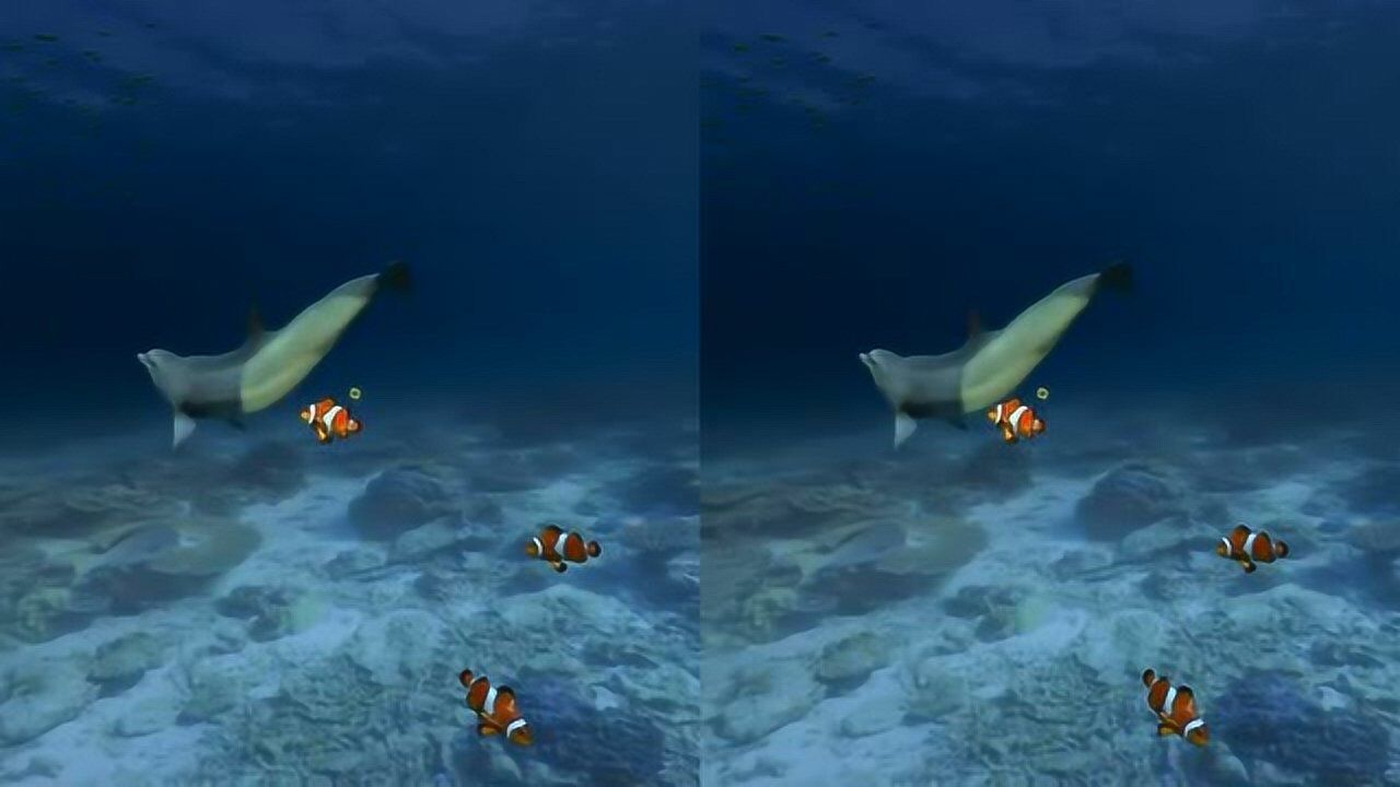海洋水族馆VR海底漫游3D虚拟现实_高清1080P在线观看平台_腾讯视频