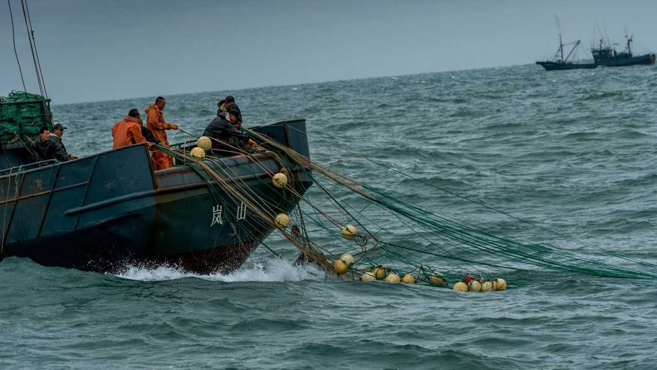 漁民出海捕魚全過程,非常辛苦,但收益也很可觀!_騰訊視頻