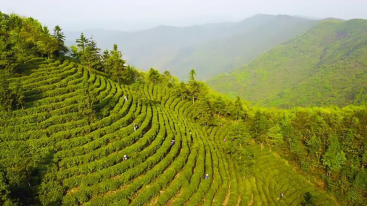 九江市柴桑区岷山乡宣传片