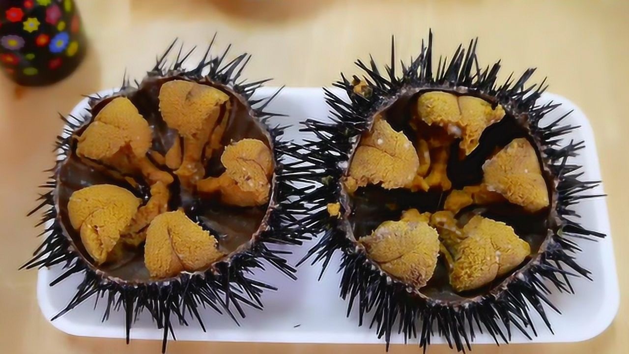 海胆刺身这种美食,竟然就这样吃,大写的服气!_腾讯视频