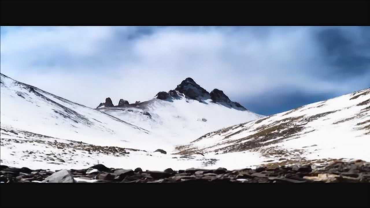 最美最美的玉树