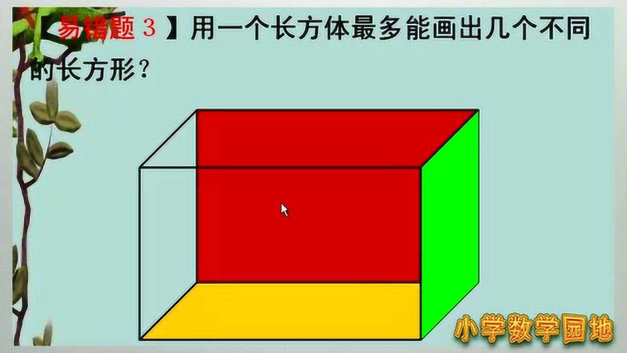 长方体最多能画几个不同长方形 一年级数学 认识平面和立体图形