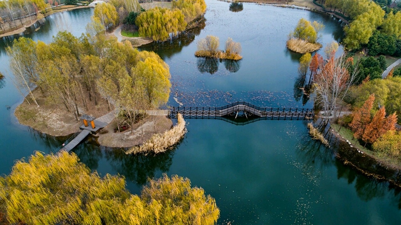 旅游旅行主播带你进应国古墓遗址国家级湿地公园白龟湖