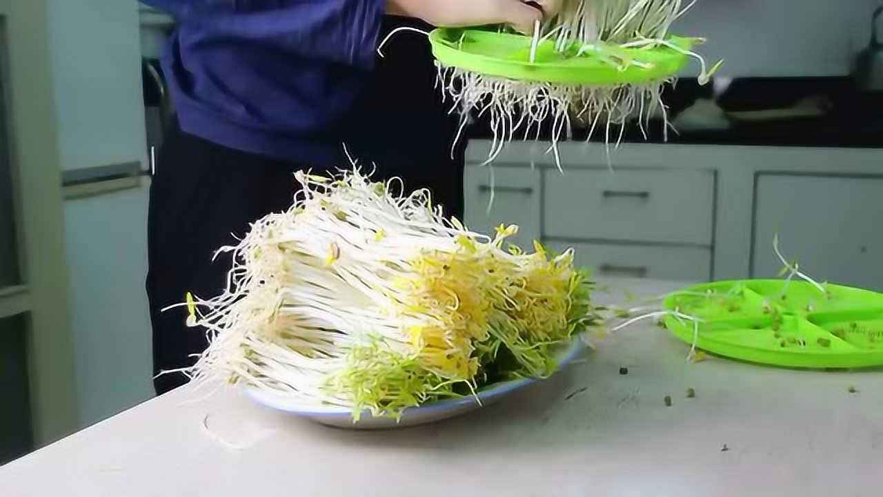 【家用豆芽机】全自动多功能智能大容量双层发豆芽!