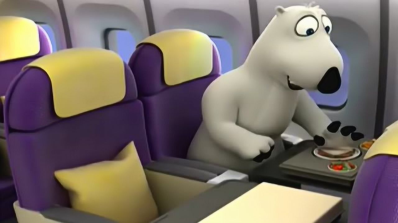 倒霉熊在飞机上偷吃邻座的午餐后开始晕机,悠着点啊!