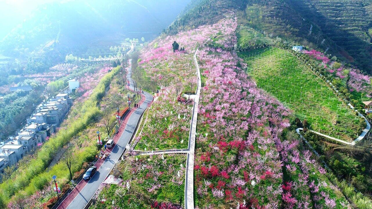 春暖商洛·桃花谷