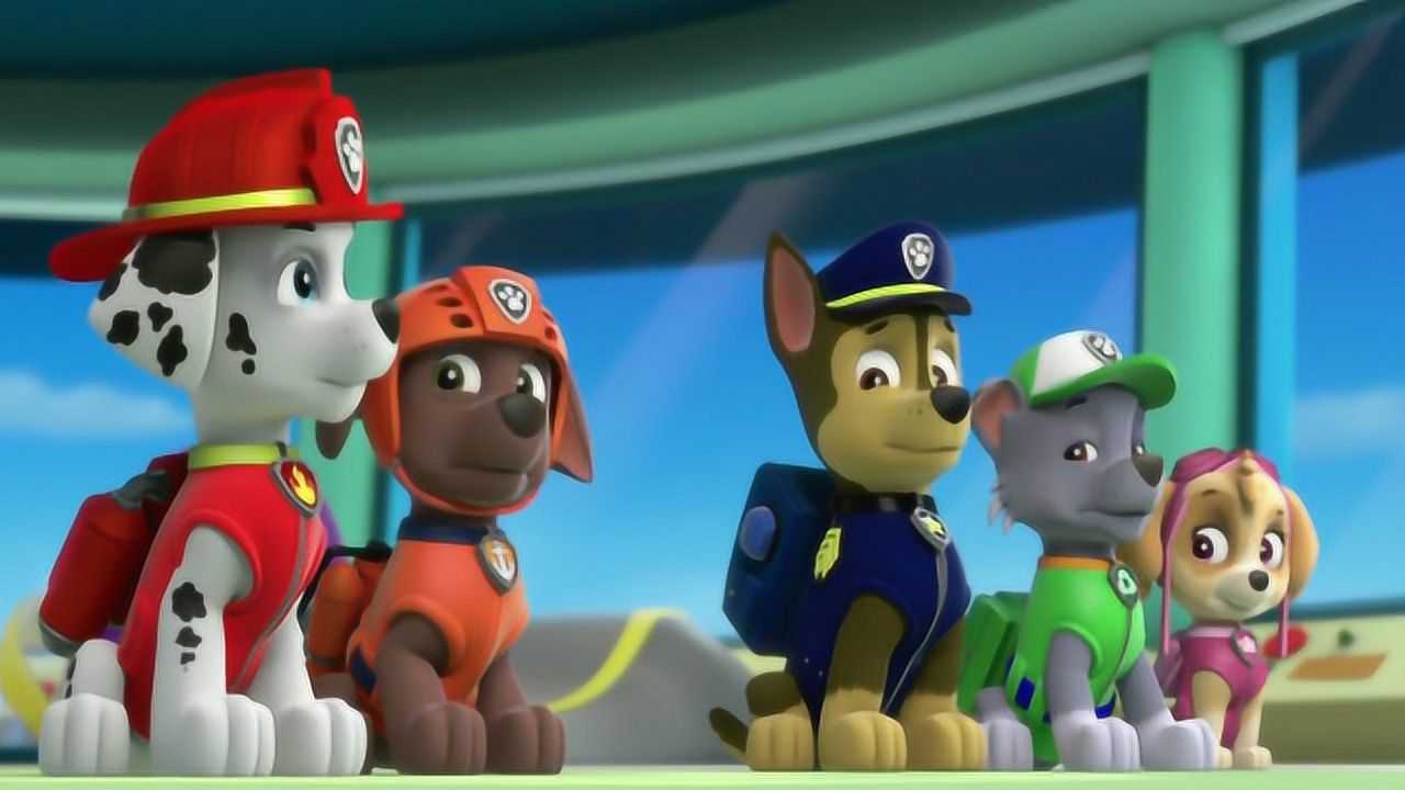 狗狗巡逻队毛毛汪汪队集合总是出洋相