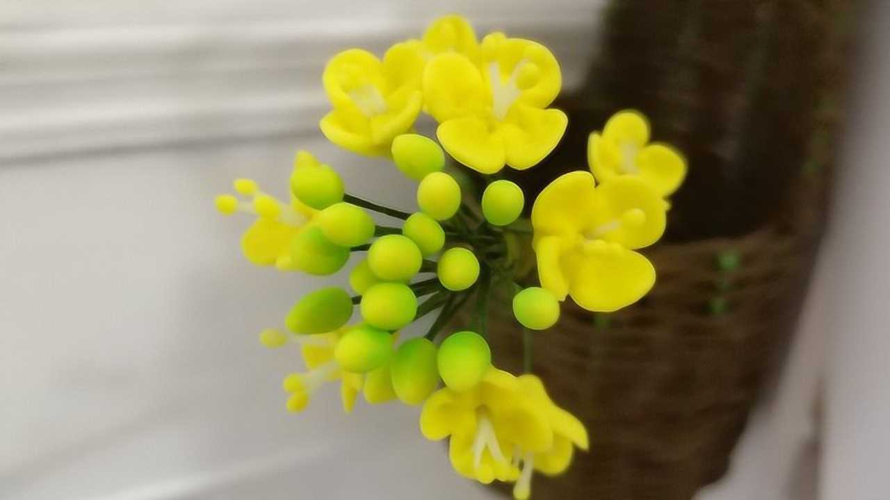 香香手工:粘土捏的油菜花,是不是和真花很像呢,看看怎么做的吧