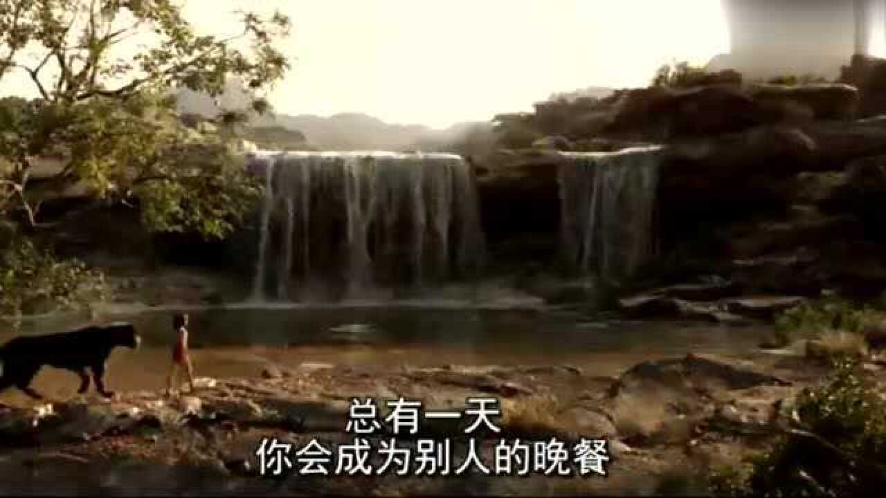 人与兽：狼孩的故事_高清1080P在线观看平台_腾讯视频