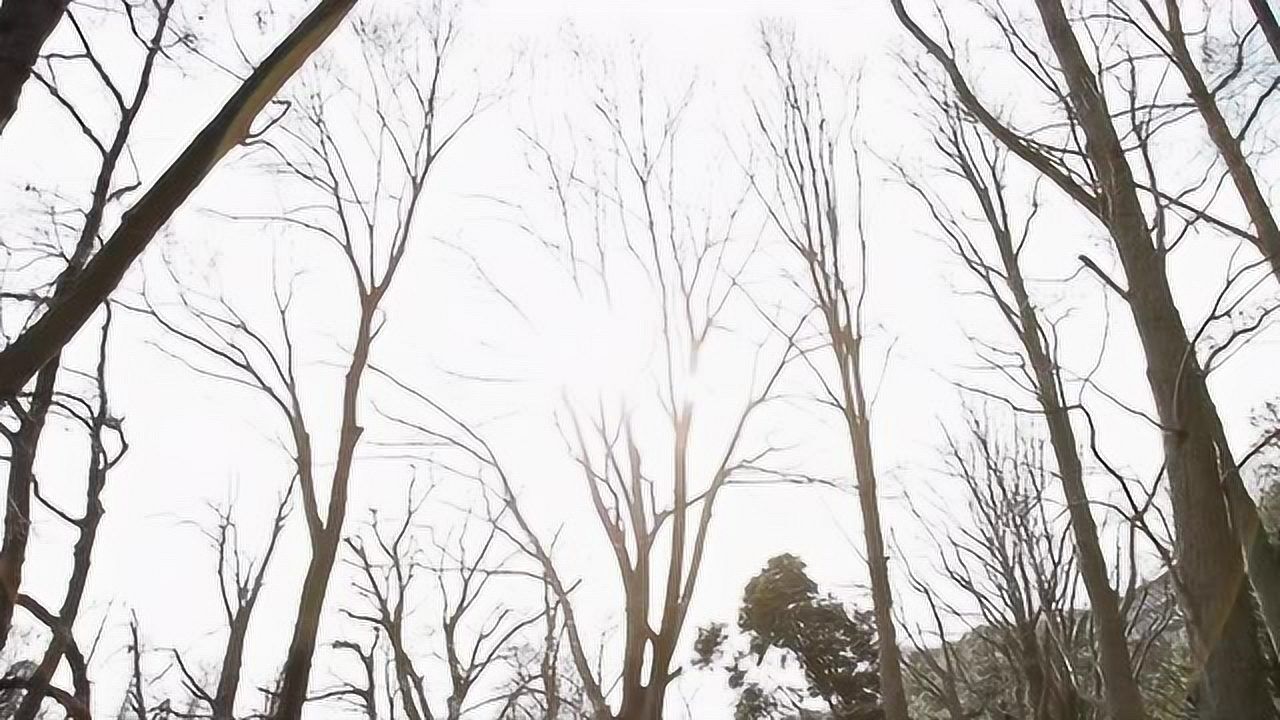 you——tokyo blue weeps