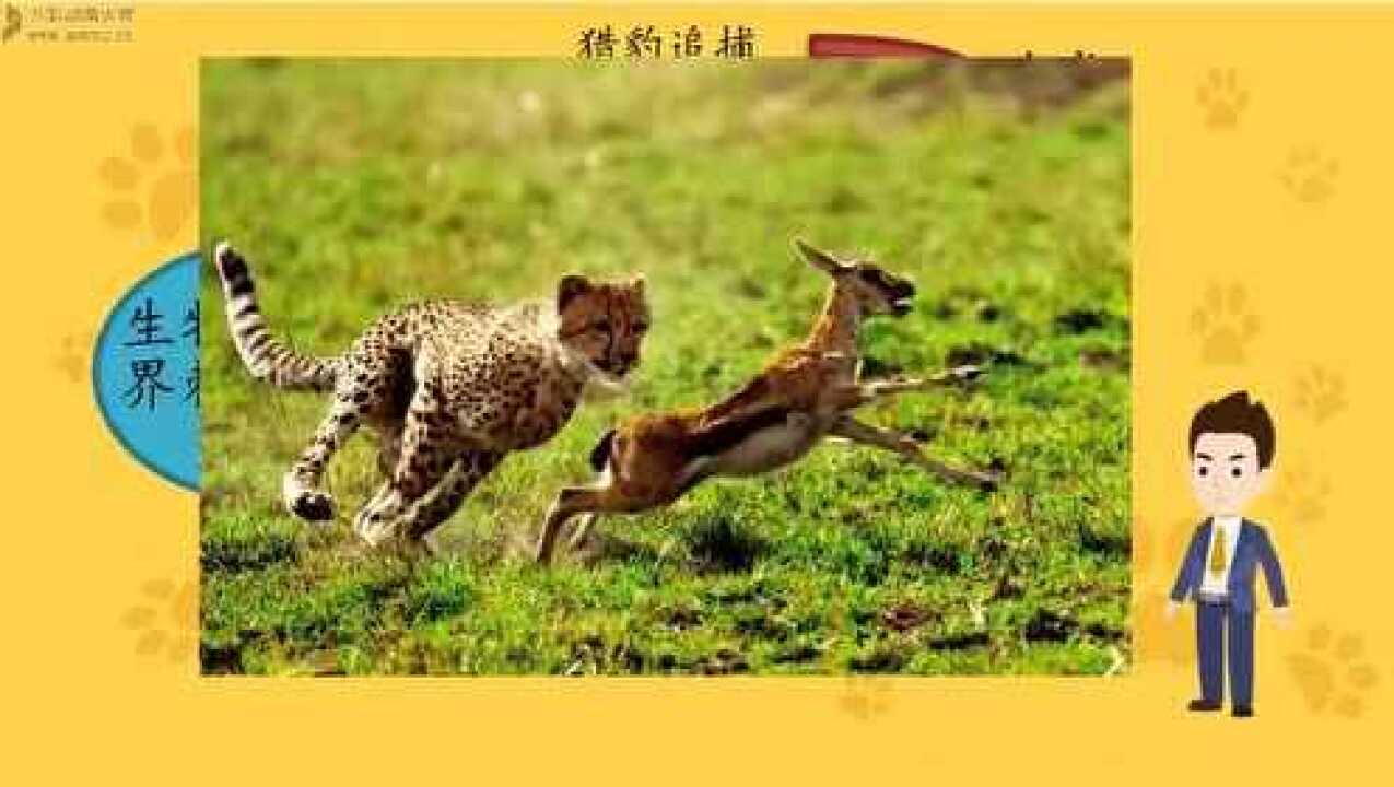 生物能对外界刺激作出反应_高清1080P在线观看平台_腾讯视频