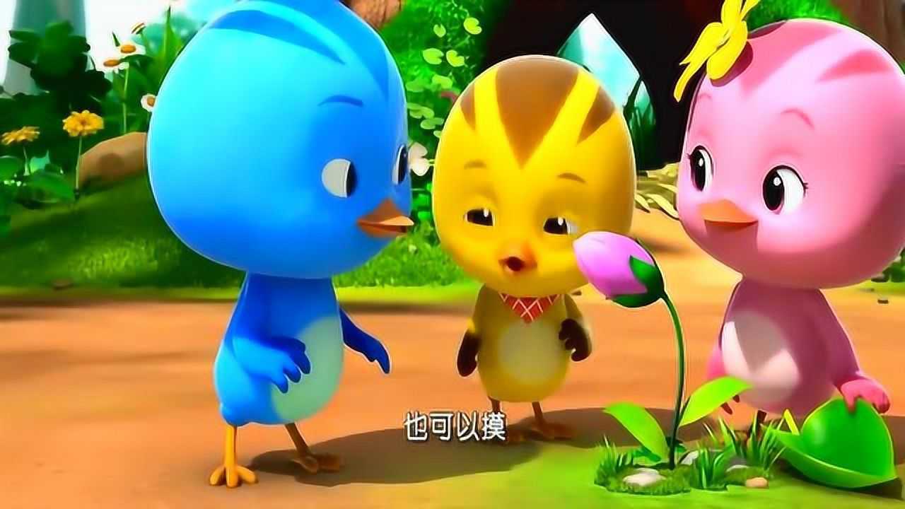 萌鸡小队动画片麦琪当哥哥了开始照顾虫宝宝了