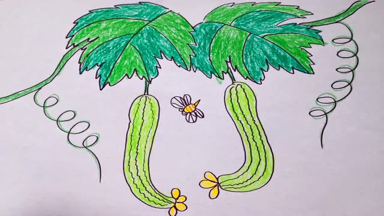 13.黄瓜-少儿彩笔绘画