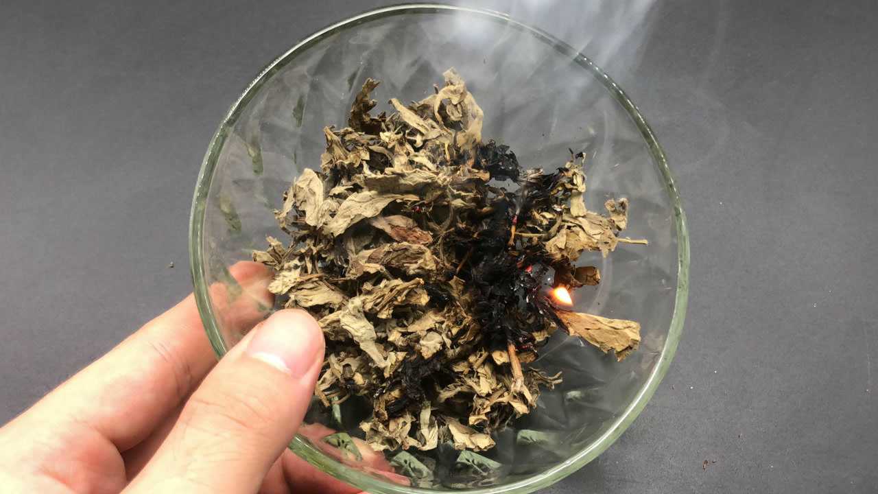 艾草别只用来泡水了烧一烧也很厉害可惜很多人都不知道