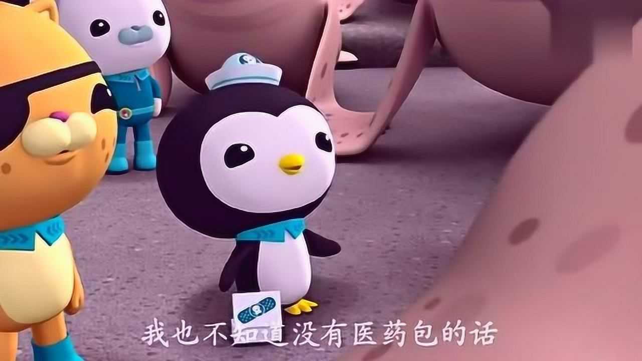 海底小纵队:皮医生帮助海象包扎伤口,海象把医药包还给了它_高清1080P在线观看平台_腾讯视频