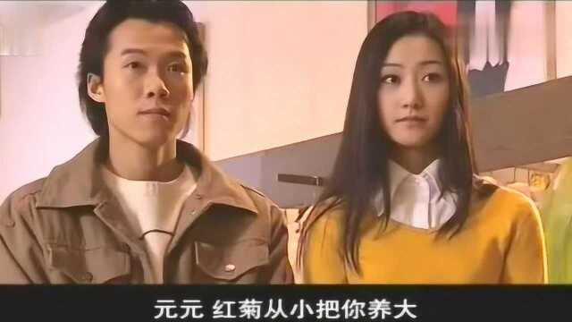 感人情感大剧 五妹,大结局