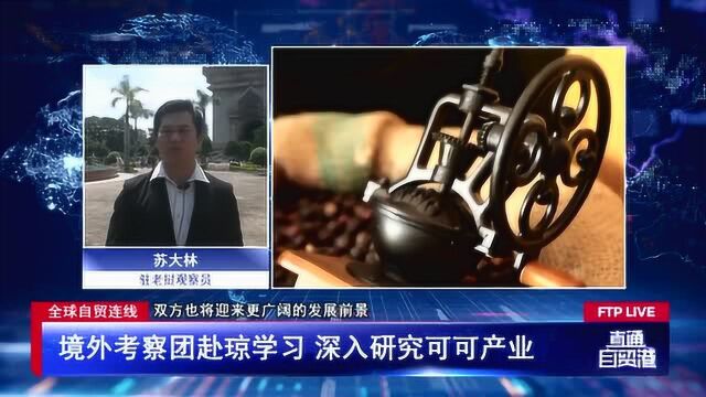 国外团队来琼考查学习 咖啡出口成琼老合作焦点