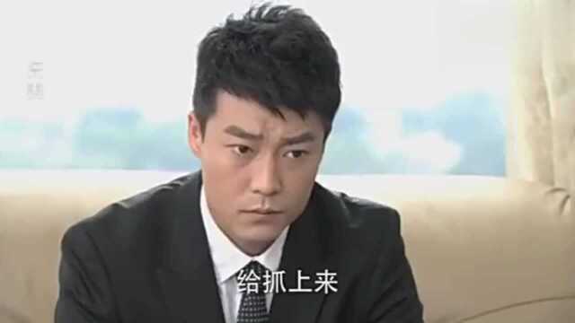 前妻弟弟留在公司当总监,现任跑来撒野大闹,不料前妻弟弟霸气了