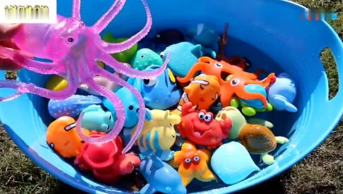 学习海洋动物名称和学习海洋动物宠物玩具视频颜色