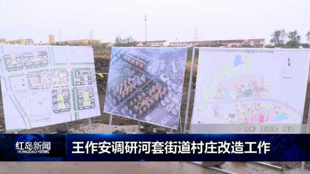 红岛新闻:王作安调研河套街道棚改工作