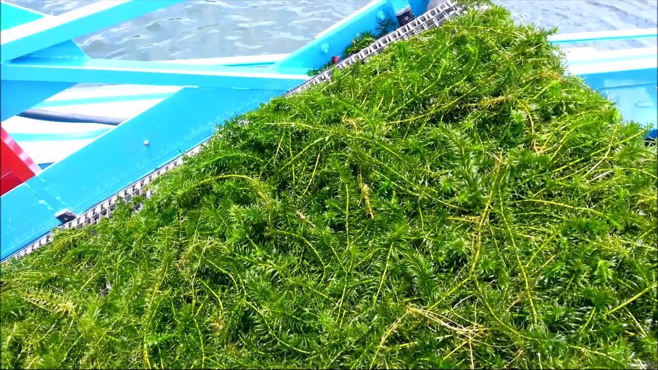 全自动水草切割船