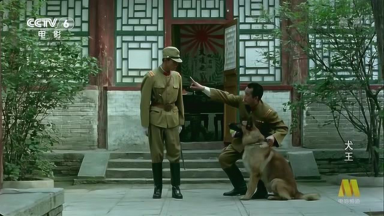 《犬王》精彩合集_1993年老电影《犬王》:一部反映军犬抗日的经典影片!_电影_高清完整版视频在线观看_腾讯视频