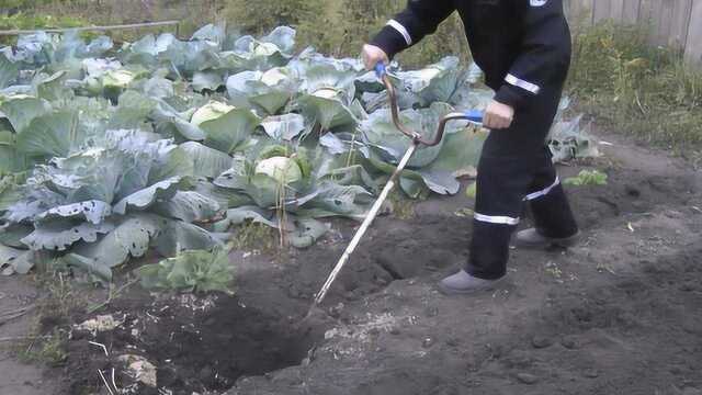 农村大叔发明“自行车”铁锹,一天能翻土3亩地,5块钱造一把