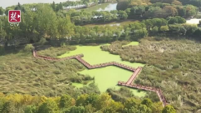 城市绿肺创造生态红利,碧水蓝天绿地助推生态宜居临空港