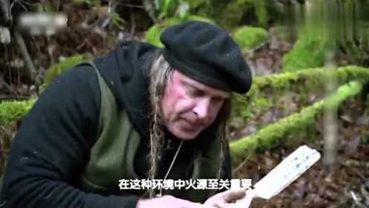 乔柯兄弟采集食物,找到“女巫的黄油”和“蛇形树果”,充满能量_高清1080P在线观看平台_腾讯视频