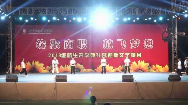 南宁职业技术学院2018新生开学典礼武术表演