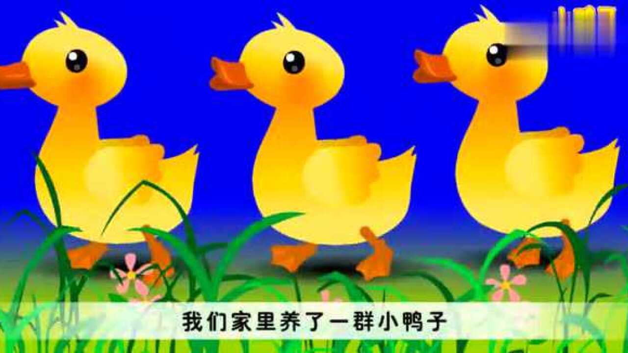 少儿快乐儿歌-小鸭子_腾讯视频