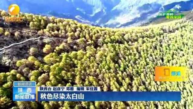 美丽的秦岭11