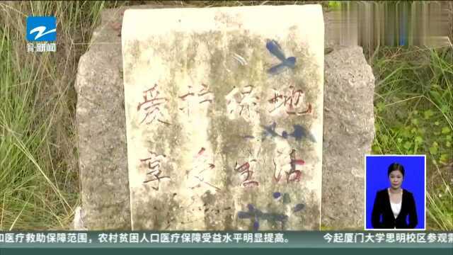 绍兴上虞网红粉花遭踩踏,2000平方花草几近全毁