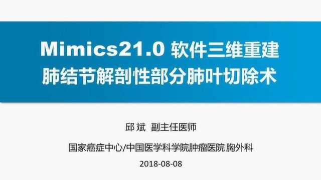 Mimics 三维重建 解剖性部分肺叶切除