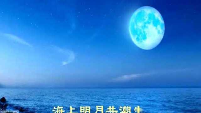 中阮《春江花月夜》春江花朝秋月夜,悠悠琴声惹人醉