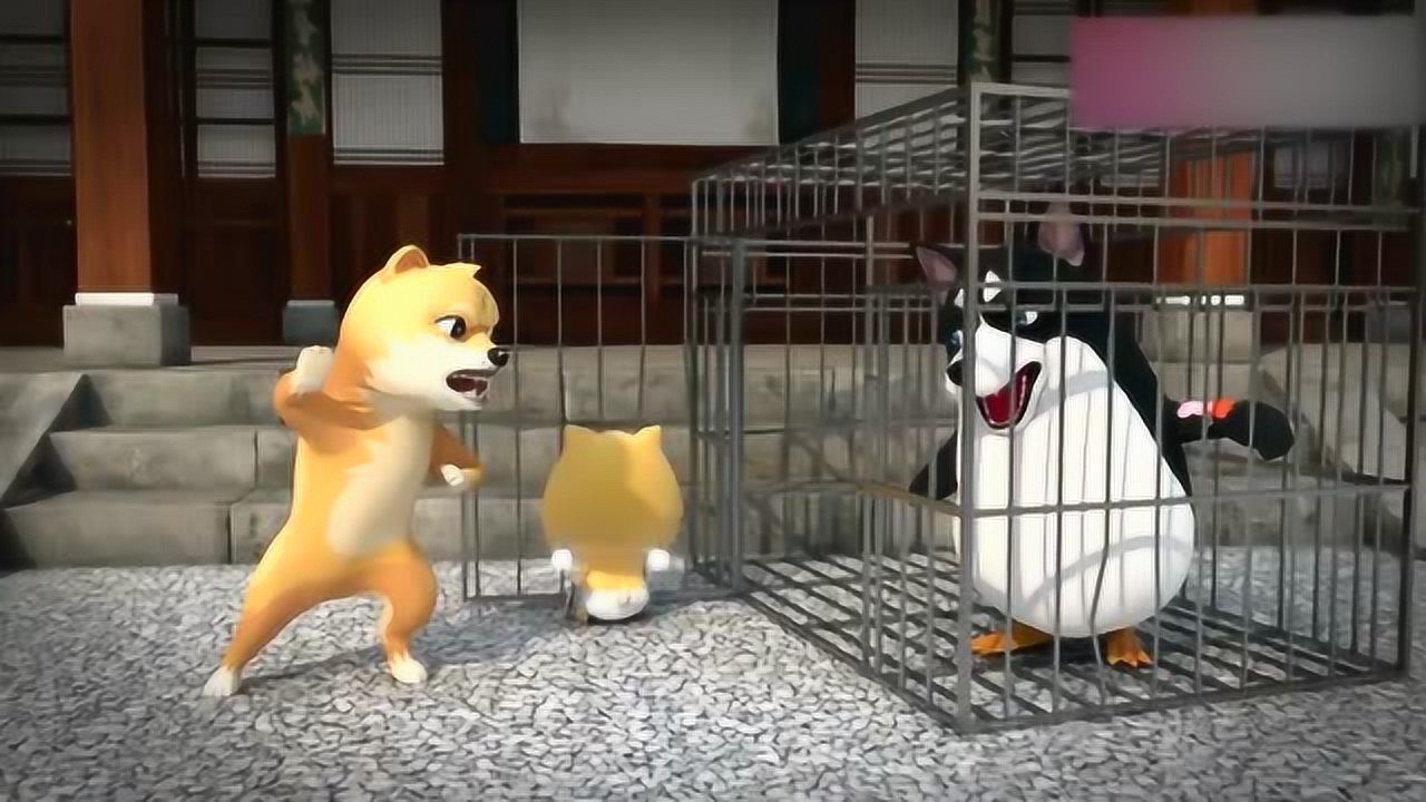 前方高能神烦狗二哈企滑小稽这样做也是很人性了