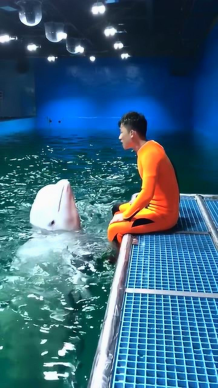 人与动物和平相处,这样的画面看着真是温馨!